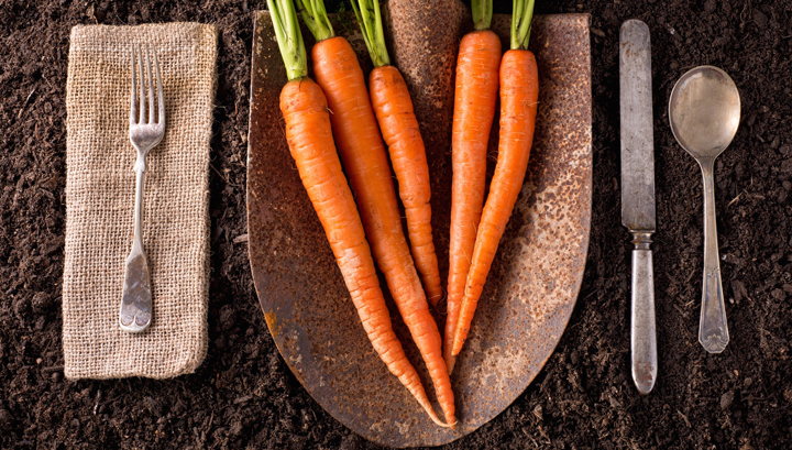 carrots-are-great-for-health