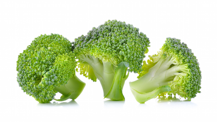 fresh broccoli isolated on white background .