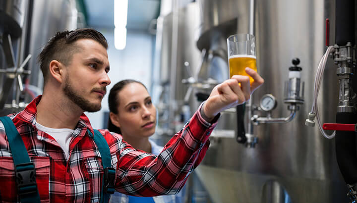 Beer Brewing