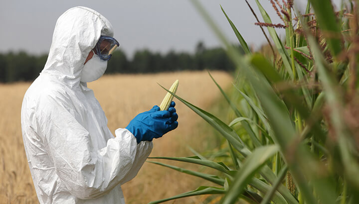 GMO Debate