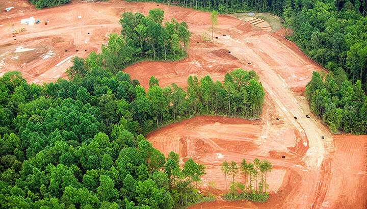 Environmental Concerns include habitat loss