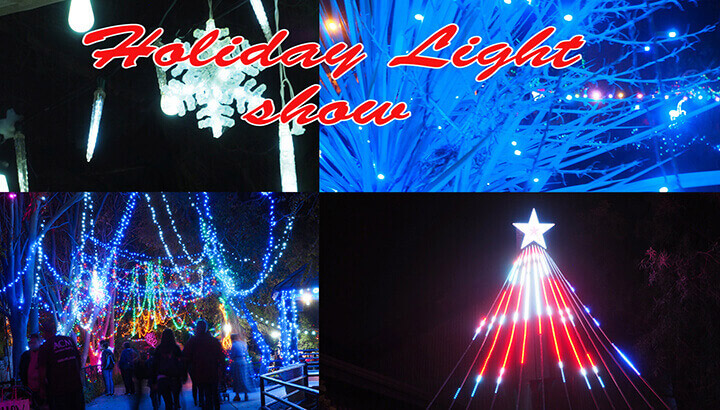 Holiday Light Show