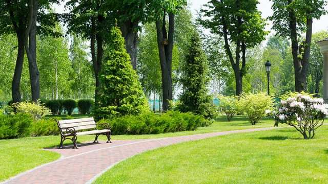Parks and sidewalks are vital for health