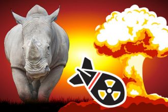 Rhino horn trade and nuclear arms
