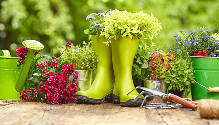 Vinegar is a great addition to your gardening routine.