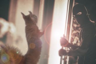 A pet squirrel stopped a burglary