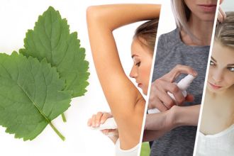 Benefits of patchouli