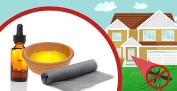 How to keep mosquitoes away from your house