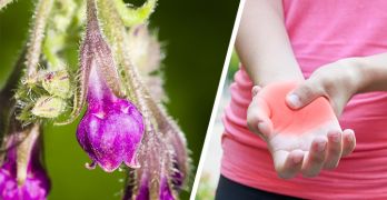 Benefits of comfrey