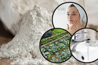 How to use diatomaceous earth