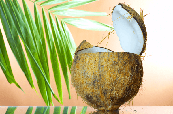 coconut