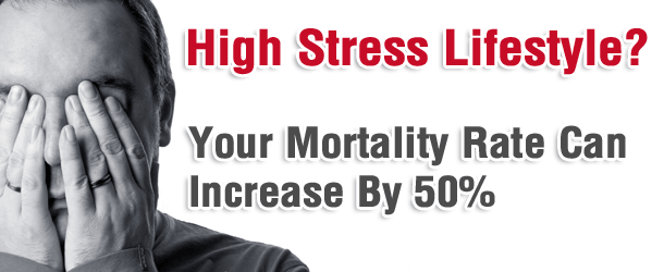 highstress High Stress Lifestyle? Your Mortality Rate Can Increase By 50%