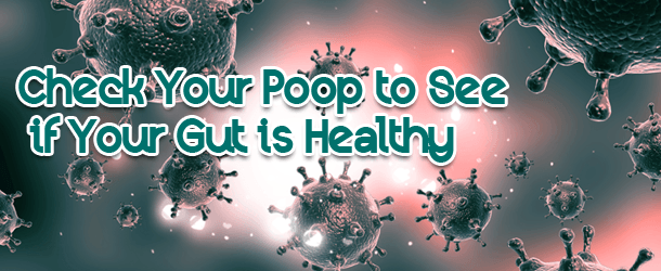 Check Your Poop to See if Your Gut is Healthy