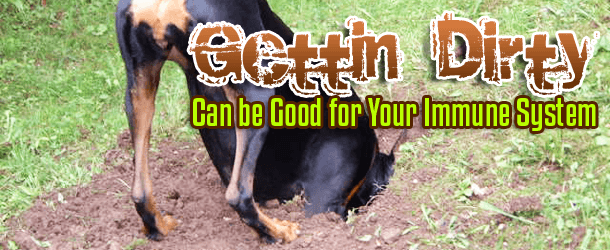 Gettin' Dirty Can be Good for Your Immune System