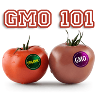 GMOs – Who, What, Where, Why?