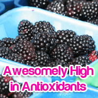 Blackberries Top the List of Foods Highest in Antioxidants Blackberries Top the List of Foods Highest in Antioxidants