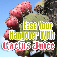 Ease Your Hangover and Kickstart Antioxidants with Cactus Juice