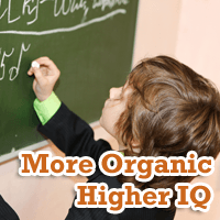 Organic Diet Boosts Childhood IQ