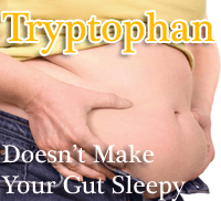 Tryptophan Doesn't Make Your Gut Sleepy, It Supports Gut Health
