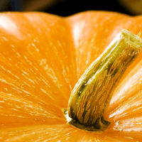 Prepare for a Healthy Fall Harvest With These 7 Seasonal Foods
