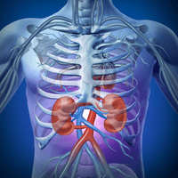 Take Care of Your Kidneys Now, Not Tomorrow
