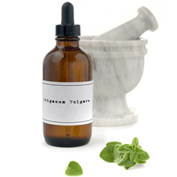 Oil of Oregano: Mother Nature's Wonder Remedy Oil of Oregano: Mother Nature's Wonder Remedy