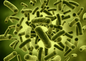 It's Alive! Natural Probiotics in Fermented Foods