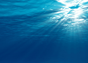The Incredible Benefits of Marine Phytoplankton