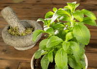 Choose Your Stevia Wisely Choose Your Stevia Wisely