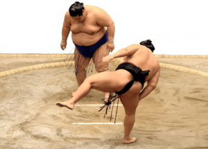 Our Circadian Rhythms Train Us to Eat Like Sumo Wrestlers