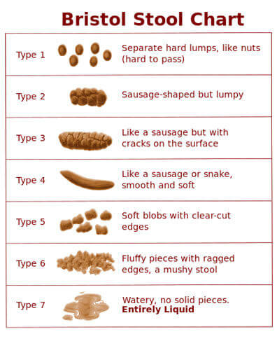 The Bristol Poop Chart: Which of the 7 Types of Bowel Movements Are You ...