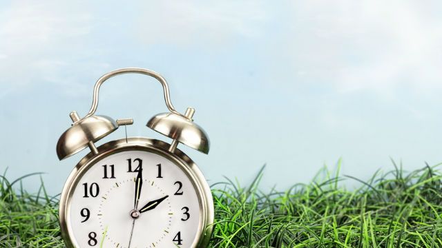 Daylight savings time