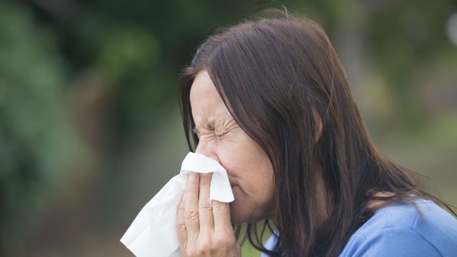 allergies