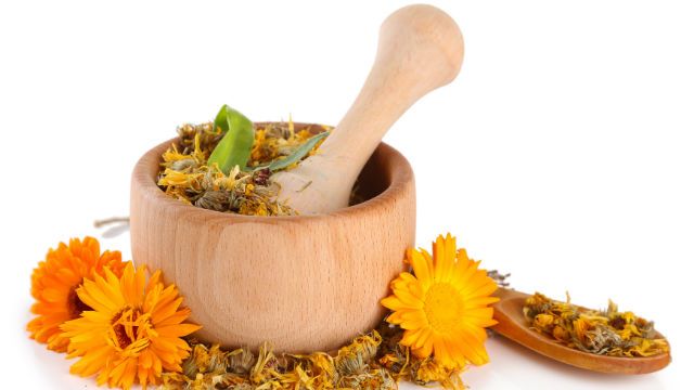 Calendula