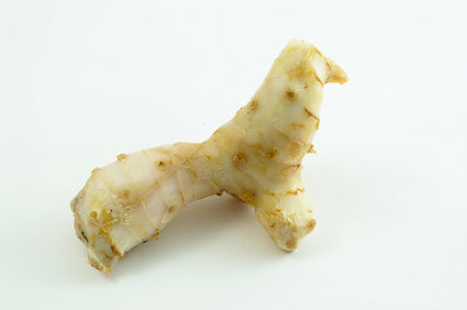 Galangal