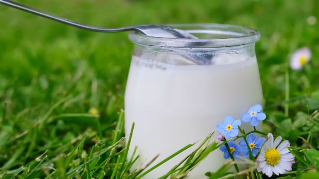 probiotics