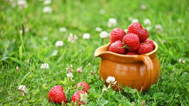 strawberrie