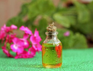Geranium oil in glass bottle