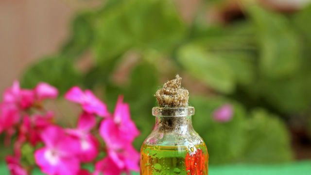 Geranium oil in glass bottle