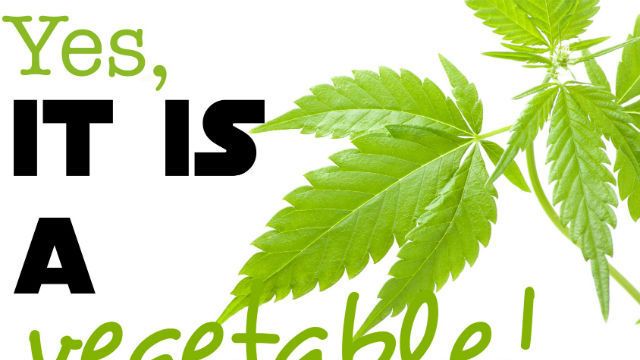 marijuana