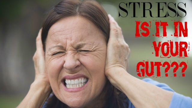 stress