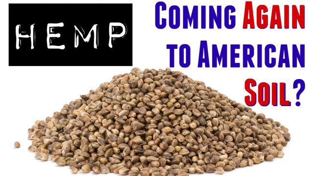 hemp