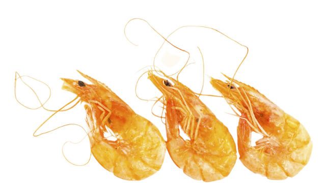 Shrimps