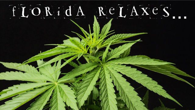 medical marijuna