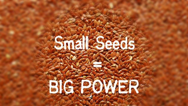 seeds