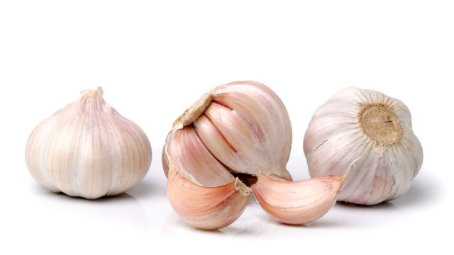 garlic
