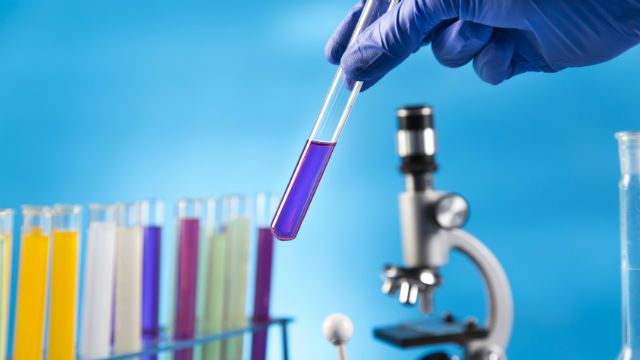 gmo lab