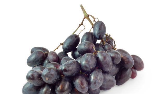 muscadine grapes