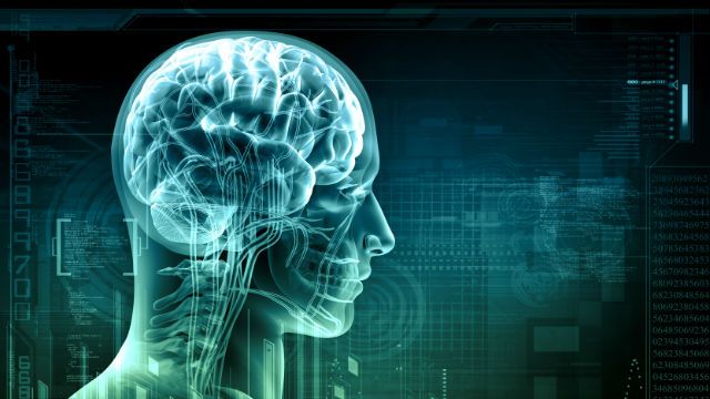 brain health