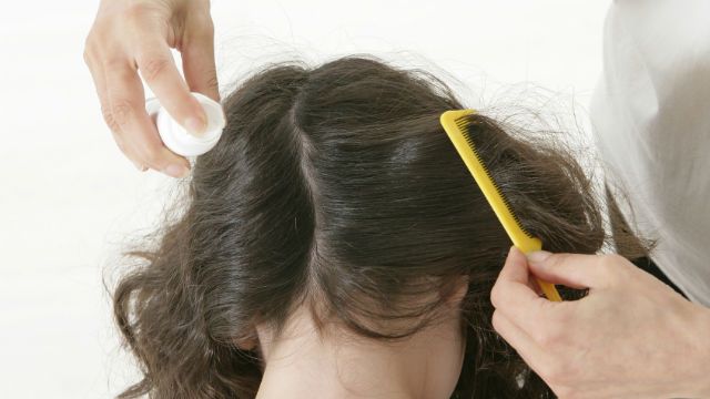 lice